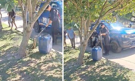 Encontraorn una serpiente Yarará en la Costanera de Santo Tomé. Encontraorn una serpiente Yarará en la Costanera de Santo Tomé.