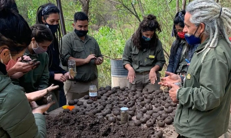 Guardaparques plantarán bombas de semilla para reforestar sierras de Córdoba Guardaparques plantarán bombas de semilla para reforestar sierras de Córdoba