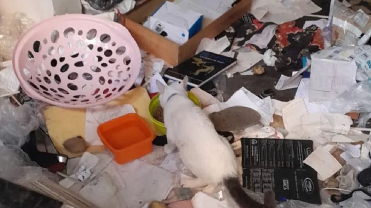 La juez federal María Eugenia Capuchetti ordenó un nuevo allanamiento en el domicilio que compartían los detenidos Fernando Sabag Montiel y Brenda Uliarte.