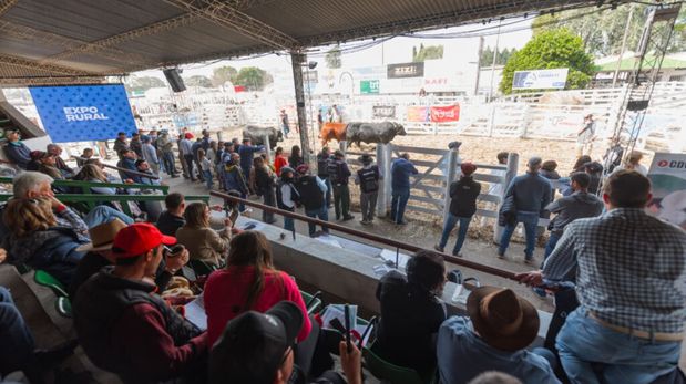 81° Expo Rural de San Justo: ganadería, negocios y espectáculos para toda la familia