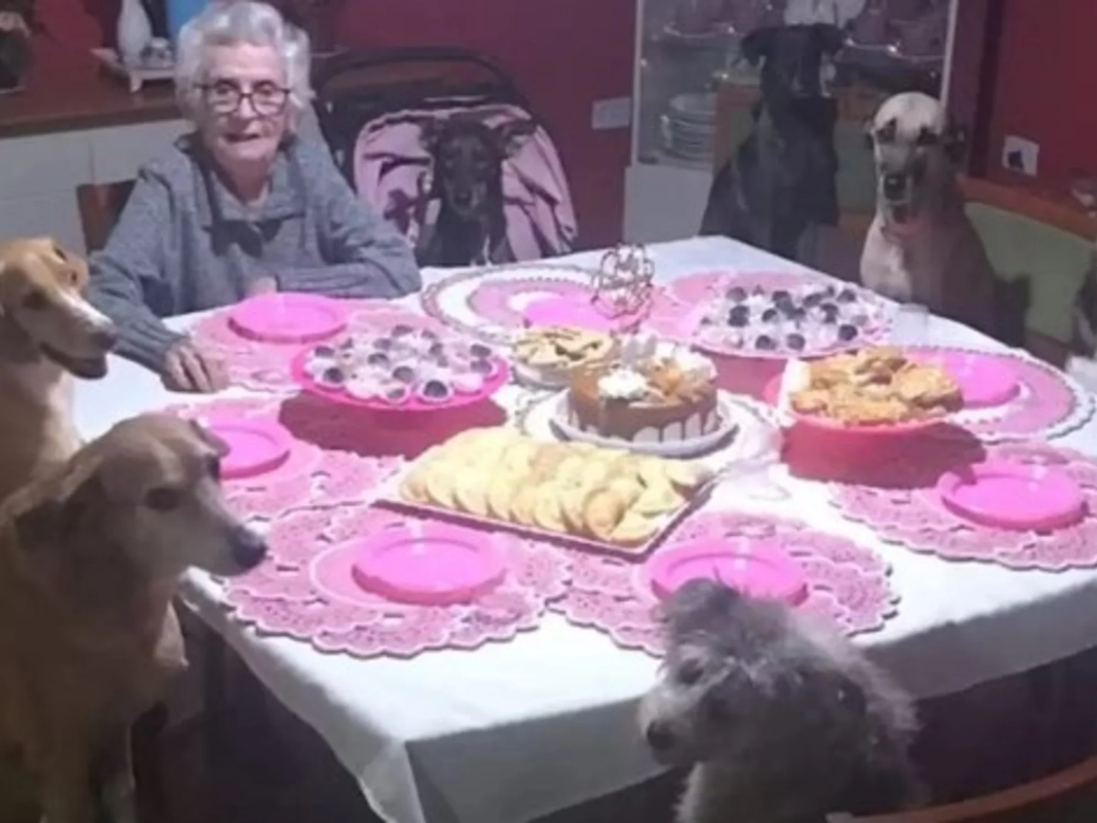 Cumplió 89 años y sus 10 perros le organizaron una fiesta inolvidable