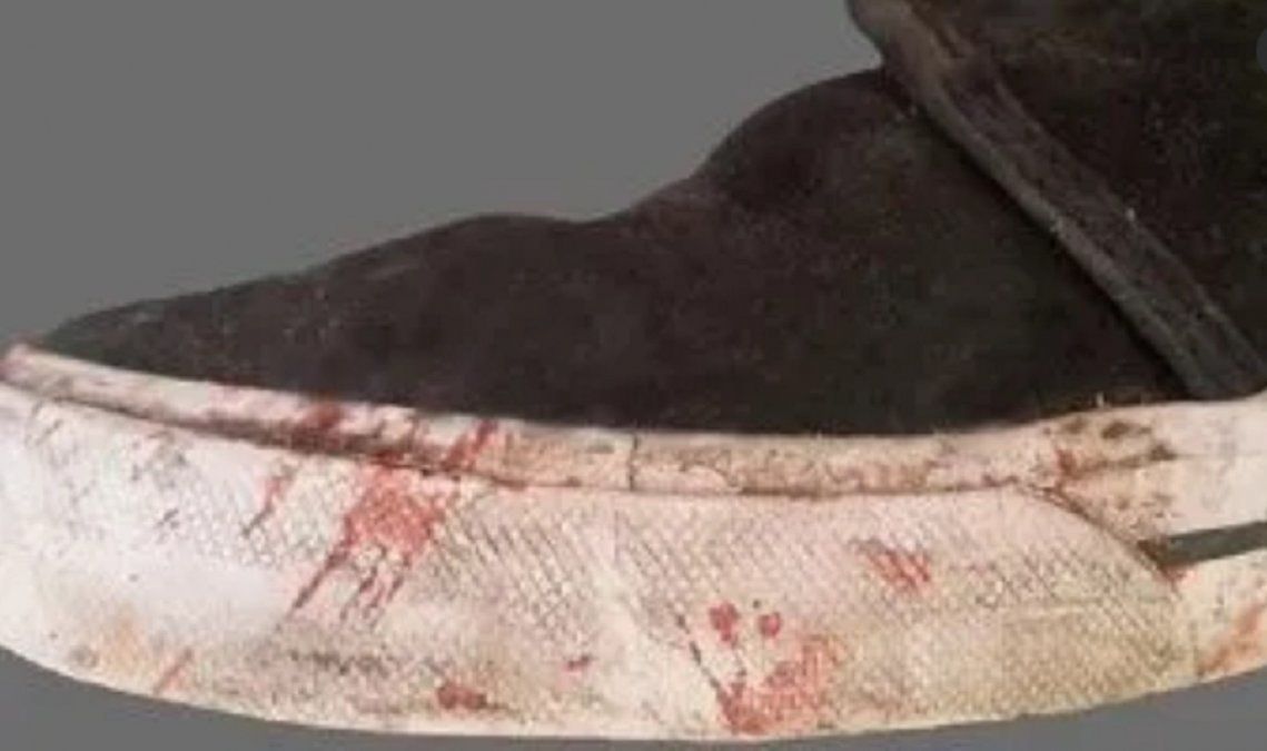 Seg&uacute;n las pericias