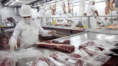 Exportaciones de carne en picada: baja oferta de novillos y tipo de cambio complican el negocio