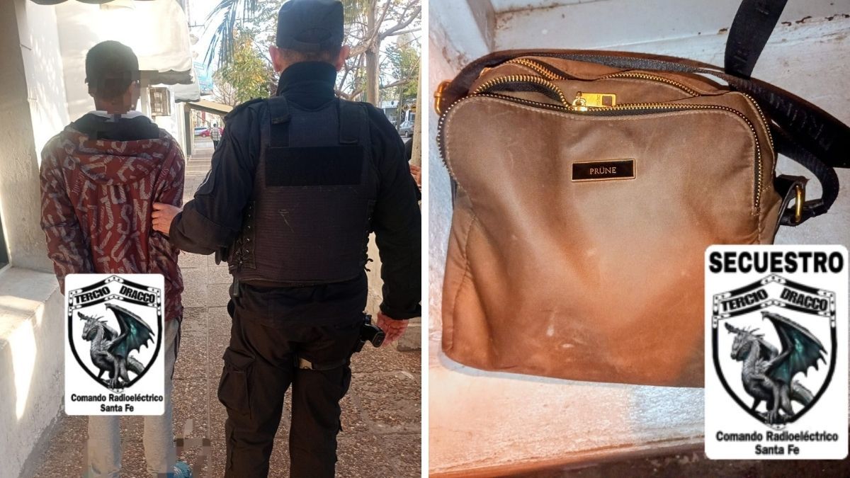 Un detenido por robarle la cartera a una mujer de 24 años. Un detenido por robarle la cartera a una mujer de 24 años.
