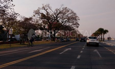 A las diez de la noche comenzará la primavera oficial en Argentina este jueves. A las diez de la noche comenzará la primavera oficial en Argentina este jueves.