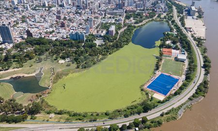 Una imagen aérea de los repollitos cubriendo casi en toda su totalidad el lago del Parque del Sur, en enero de 2024. Hoy el lago luce mucho más limpio. Una imagen aérea de los repollitos cubriendo casi en toda su totalidad el lago del Parque del Sur, en enero de 2024. Hoy el lago luce mucho más limpio.