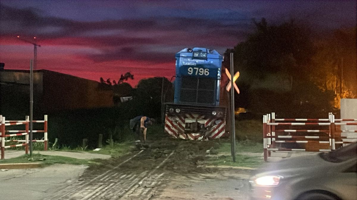 Una formación de Trenes Argentinos descarriló este lunes por la tarde en Santa Fe.