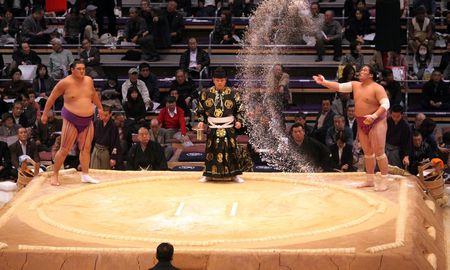 La lucha sumo es un tipo de lucha libre donde dos luchadores contrincantes o rikishi se enfrentan en un área circular. La lucha sumo es un tipo de lucha libre donde dos luchadores contrincantes o rikishi se enfrentan en un área circular.