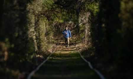 La baja interferencia humana en los alrededores de Ubajay facilita el avistaje de carpinchos y especies de aves migratorias que eligen los arroyos de la zona para anidar cada temporada. La baja interferencia humana en los alrededores de Ubajay facilita el avistaje de carpinchos y especies de aves migratorias que eligen los arroyos de la zona para anidar cada temporada.