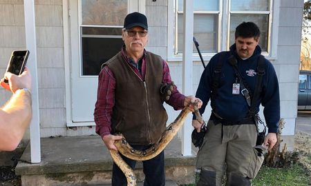 buscaba sus llaves en el sofa y encontro una boa constrictor de dos metros buscaba sus llaves en el sofa y encontro una boa constrictor de dos metros