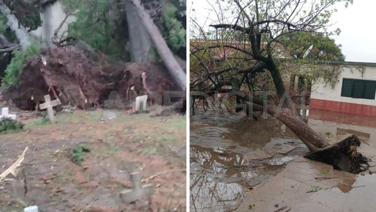 El temporal en San Justo destrozó todo. El temporal en San Justo destrozó todo.
