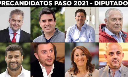 Los principales precandidatos que comienzan la carrera para acceder a una de las nueve bancas que renueva Santa Fe en la Cámara de Diputados. Los principales precandidatos que comienzan la carrera para acceder a una de las nueve bancas que renueva Santa Fe en la Cámara de Diputados.