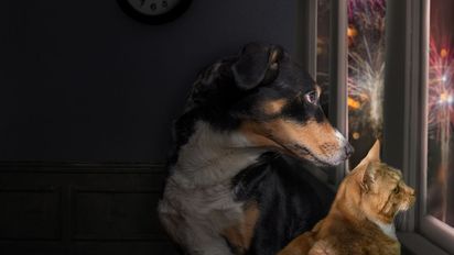 Pirotecnia, una tradición de las Fiestas que pasó a estar prohibida: cuando celebrar tiene consecuencias