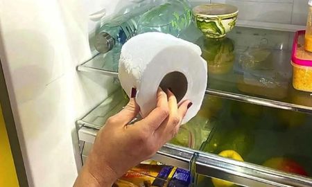 El papel higiénico absorbe humedad y neutraliza olores dentro de la heladera. El papel higiénico absorbe humedad y neutraliza olores dentro de la heladera.