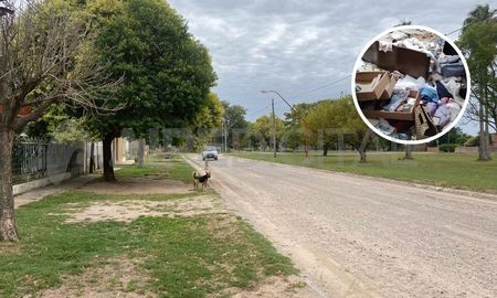Arroyo Aguiar: ola delictiva que preocupa a los vecinos Arroyo Aguiar: ola delictiva que preocupa a los vecinos