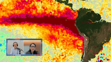 Imagen satelital de la NOAA que refleja el calentamiento del agua superficial del Océano Pacífico Ecuatorial, variable clave para que se genere un Fenómeno del Niño.