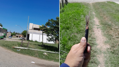 Monte Vera: un trabajo de poda rompió la fibra y dejó sin internet a mil usuarios de Gigared