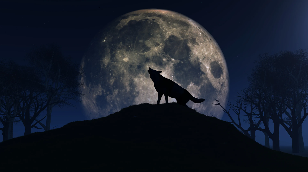 Este 25 de enero llega la Luna del Lobo, la primera luna llena del 2024. Este 25 de enero llega la Luna del Lobo, la primera luna llena del 2024.
