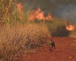 g7 aporta u$s 20 millones para la amazonia y propone reforestar g7 aporta u$s 20 millones para la amazonia y propone reforestar