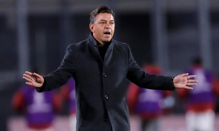 marcelo gallardo definira su futuro en river a fin de ano