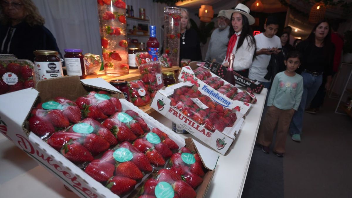 La Fiesta Nacional de la Frutilla reúne a miles de visitantes cada año y celebra la tradición productiva que posicionó a Coronda como capital frutillera del país. La Fiesta Nacional de la Frutilla reúne a miles de visitantes cada año y celebra la tradición productiva que posicionó a Coronda como capital frutillera del país.