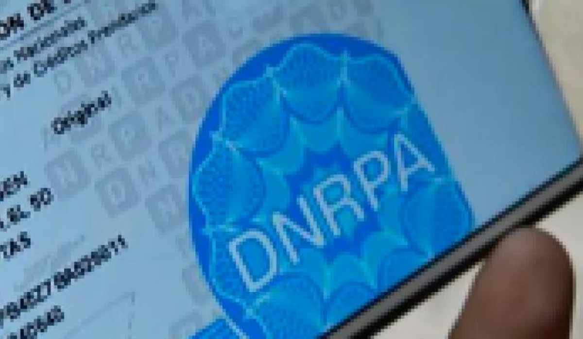 Chau cédula azul: hasta cuándo sirven las emitidas y cómo autorizar a otra persona para manejar
