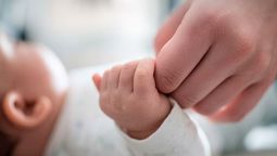 Una vez confirmado el intercambio, comenzó el proceso de acercamiento entre ambas familias.&nbsp;