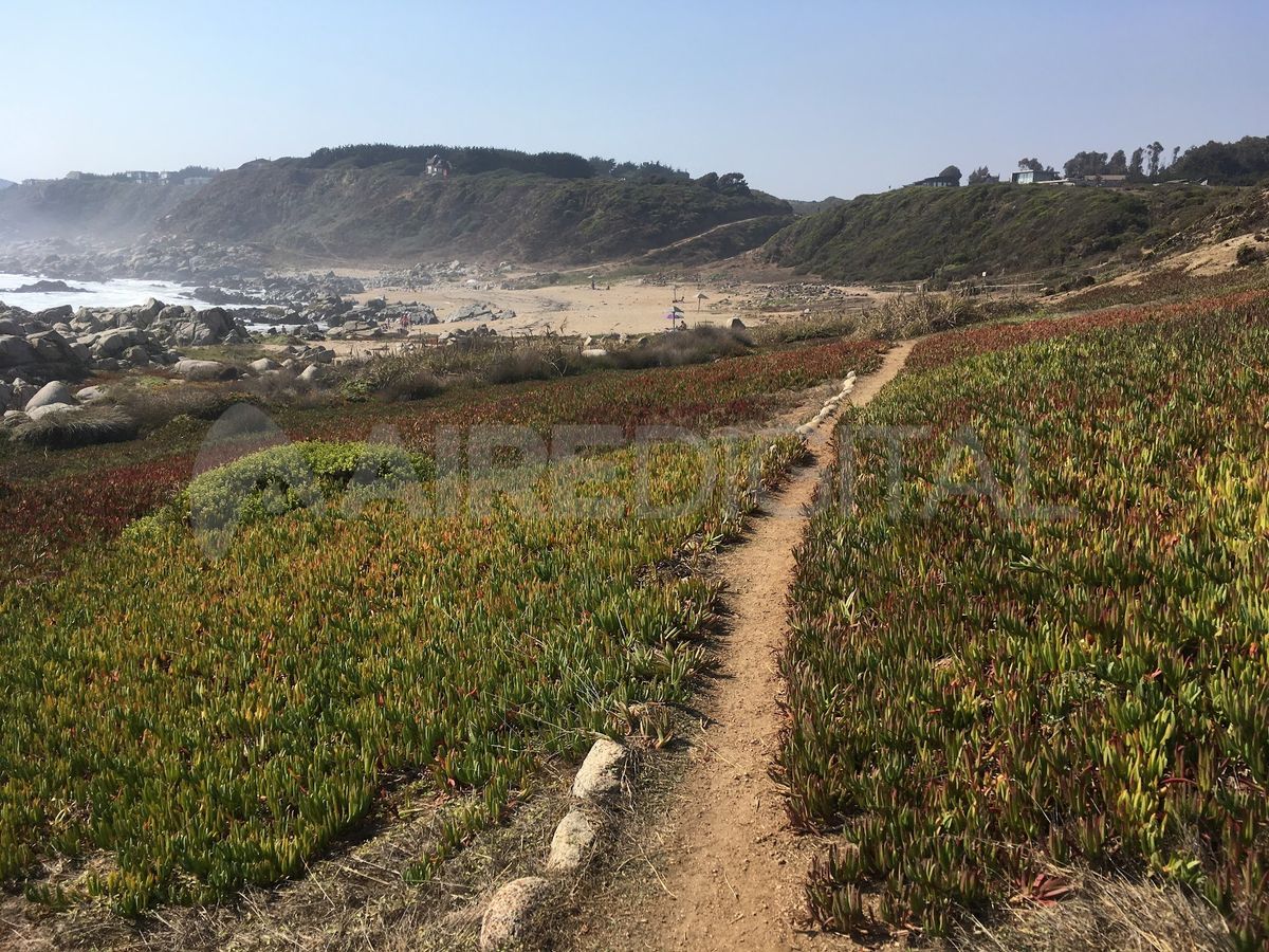 Las costas del Océano Pácífico, otro de los patrimonios ambientales de Chile.