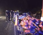 arroyo leyes: un camion volco, atropello a una pareja y un joven murio arroyo leyes: un camion volco, atropello a una pareja y un joven murio