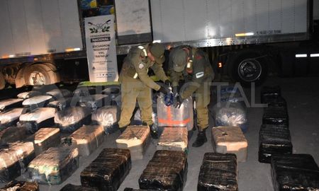Incautaron más de 1400 hojas de coca en estado natural en un camión que trasladaba bananas. Incautaron más de 1400 hojas de coca en estado natural en un camión que trasladaba bananas.