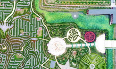 Yancheng Dafeng Dream Maze Yancheng Dafeng Dream Maze