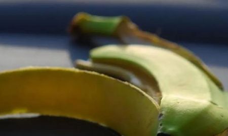la peligrosa moda de buscar el placer con cascara de banana que pone en riesgo la salud la peligrosa moda de buscar el placer con cascara de banana que pone en riesgo la salud
