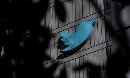 Voló el pajarito de Twitter: Elon Musk renovó el logo de la tradicional red social. Voló el pajarito de Twitter: Elon Musk renovó el logo de la tradicional red social.