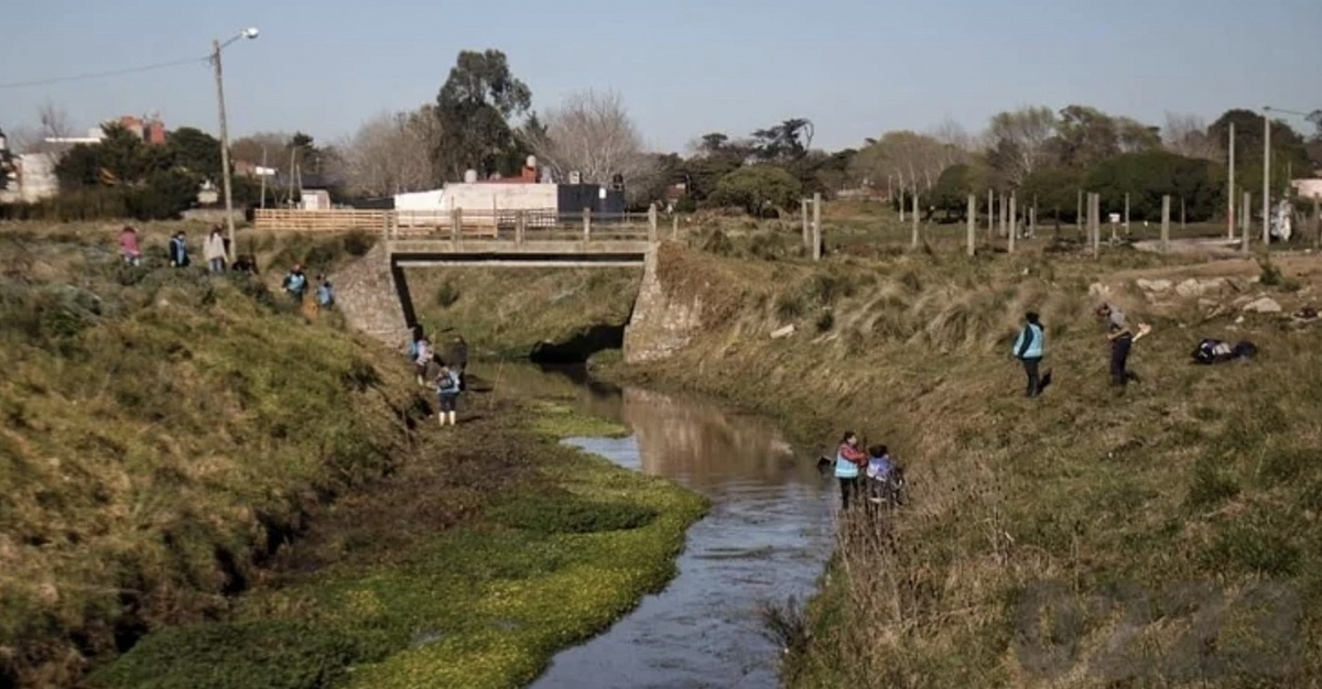 Mar del Plata: un hombre que paseaba a su perro encontró un cadáver en un arroyo
