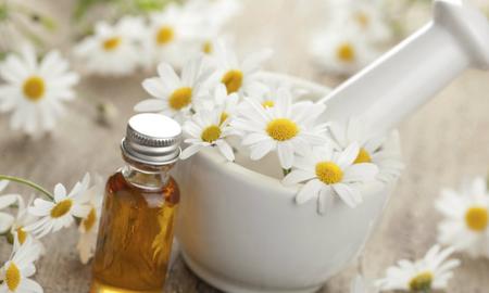 Los 7 beneficios de la planta de manzanilla. Los 7 beneficios de la planta de manzanilla.