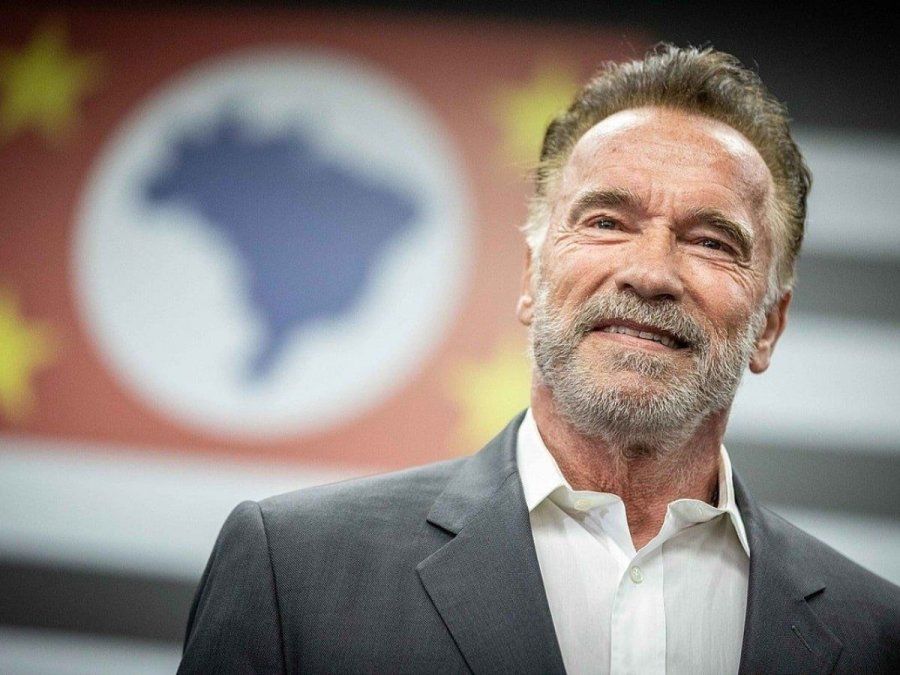 Arnold pidió que el público regrese a los cines.