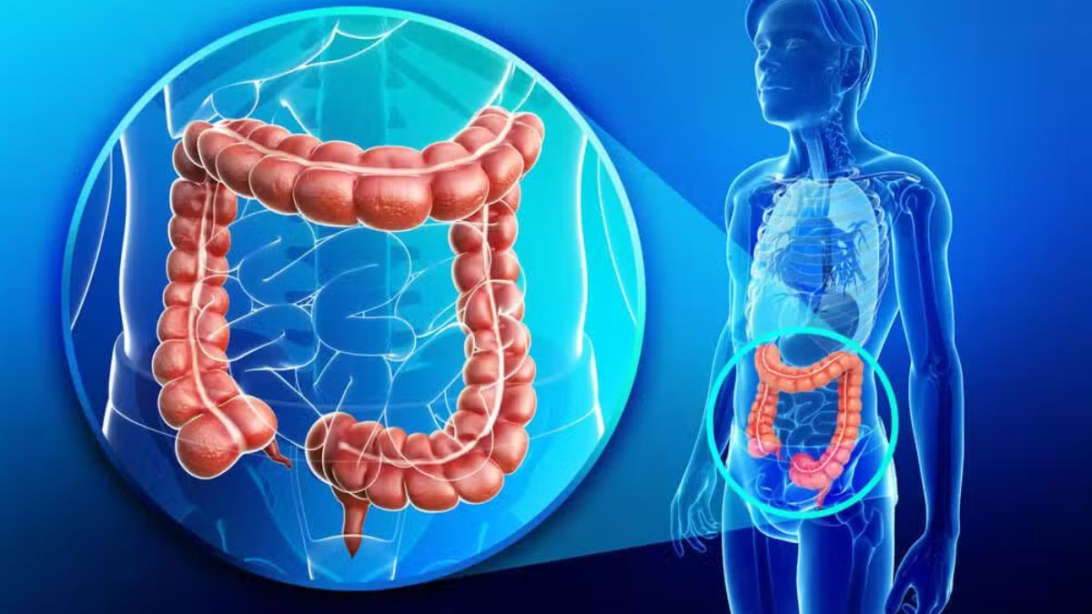 La prevención es clave, ya que si bien es una de las enfermedades más frecuentes, también es una de las más prevenibles. La prevención es clave, ya que si bien es una de las enfermedades más frecuentes, también es una de las más prevenibles.