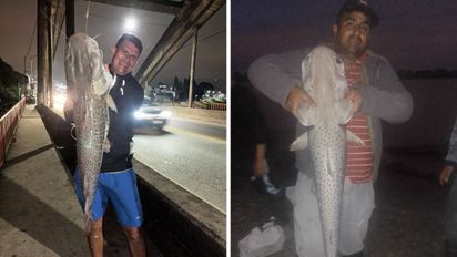 Furor en Santa Fe tras la 