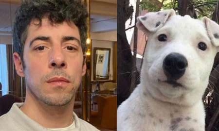 Furor por el perro que tiene la cara de Esteban Lamothe Furor por el perro que tiene la cara de Esteban Lamothe