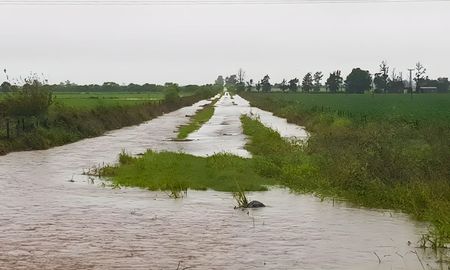 lluvias en el centro norte santafesino: cosecha parada y caminos intransitables lluvias en el centro norte santafesino: cosecha parada y caminos intransitables