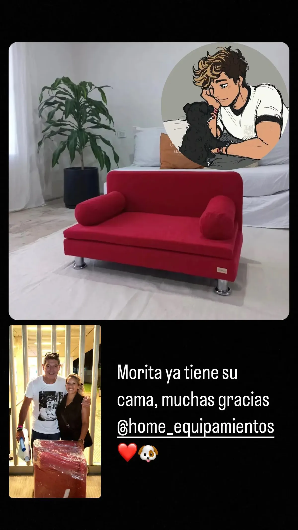 Morita, la perra de Marcos Ginocchio, duerme en una lujosa cama en forma de sofá.