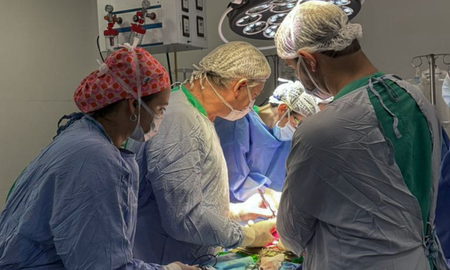 Los órganos que se ablacionaron permitieron que 12 pacientes accedieran al trasplante, que estaban en lista de espera de Incucai. Los órganos que se ablacionaron permitieron que 12 pacientes accedieran al trasplante, que estaban en lista de espera de Incucai.