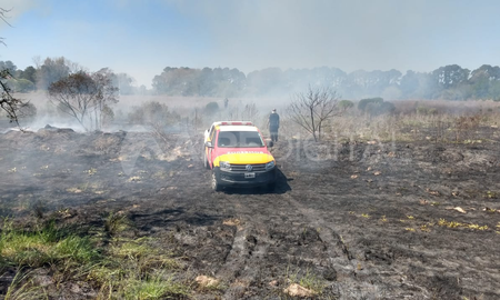 incendio en rincon: bomberos intentaban controlar un foco igneo en la ruta 1 incendio en rincon: bomberos intentaban controlar un foco igneo en la ruta 1