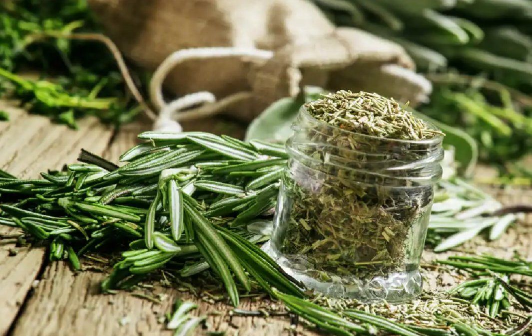 3 preparados con romero para cuidar tu cabello