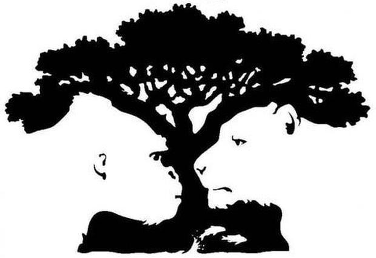 La pregunta del test viral de hoy parece simple y puede ser resuelta rápidamente: ¿qué viste primero en la imagen de la nota?