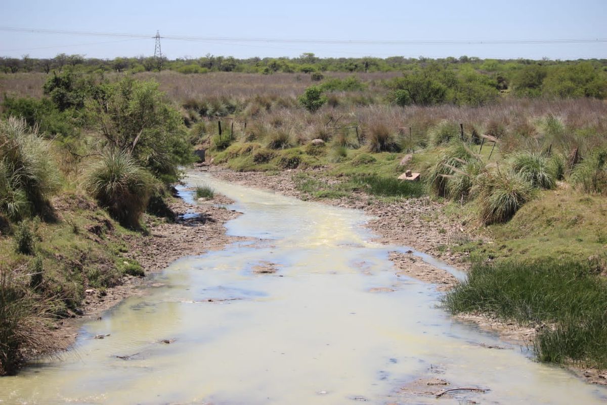 Científicos de la UNL detectaron alto deterioro ambiental en arroyos santafesinos.