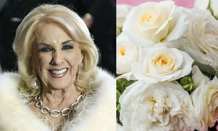 Las flores que definieron el estilo de Mirtha también inspiran tendencias en la decoración actual. Las flores que definieron el estilo de Mirtha también inspiran tendencias en la decoración actual.