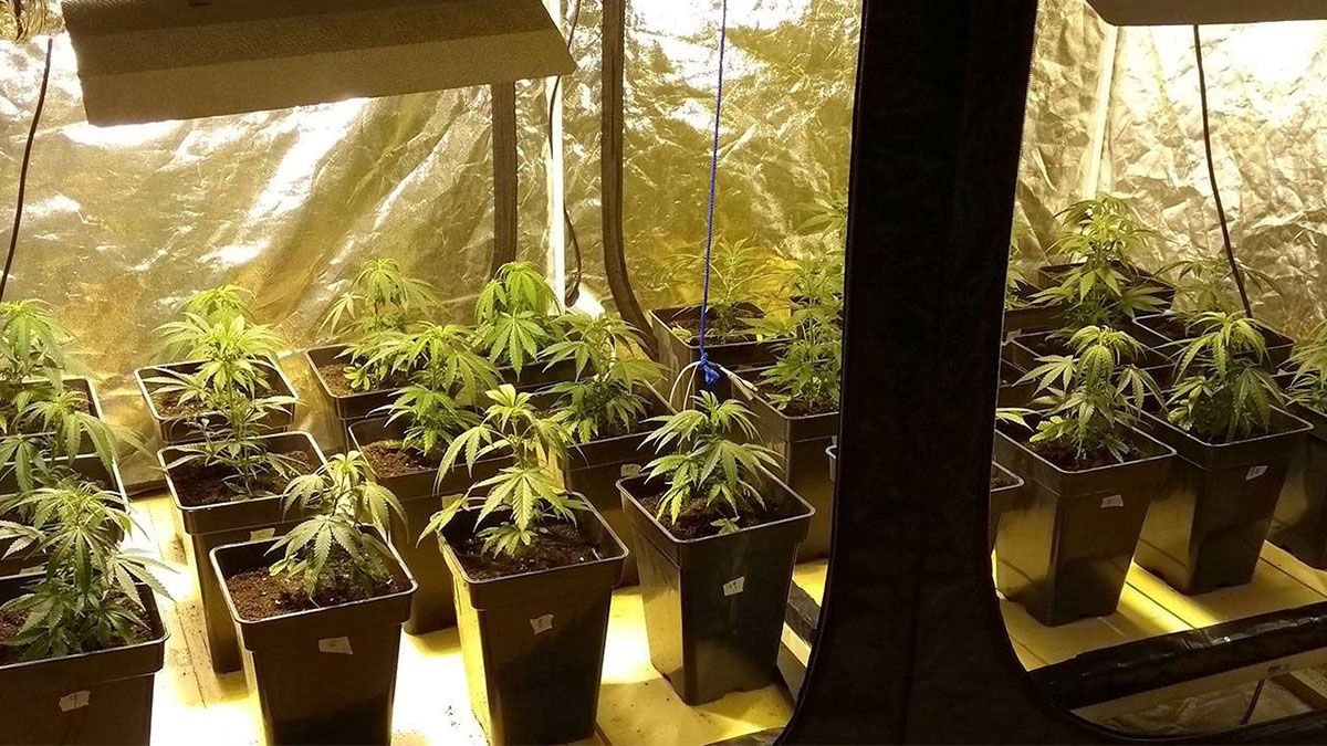 Uno de los integrantes de Reset, el abogado Mariano Fusero calificó a la medida como “plagada de tibiezas” e “incongruencias que desconocen la realidad de miles de familias”.