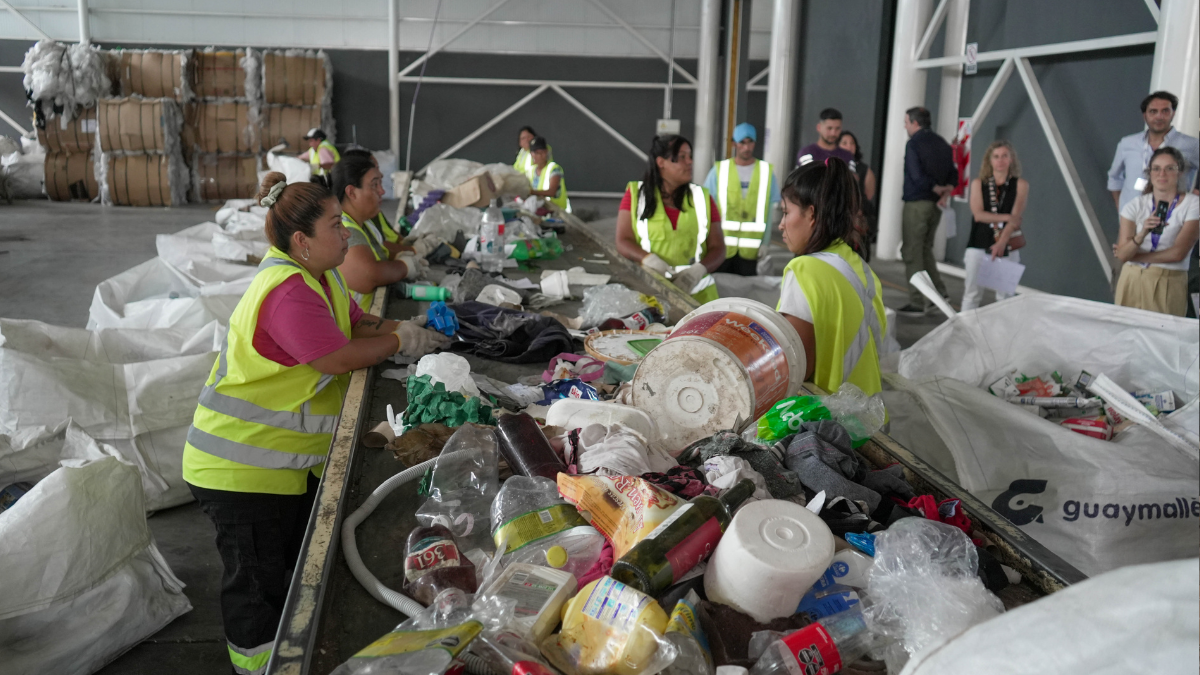 Se busca profesionalizar el trabajo verde y reconocer a las cooperativas como actores clave de la economía circular inclusiva. Se busca profesionalizar el trabajo verde y reconocer a las cooperativas como actores clave de la economía circular inclusiva.