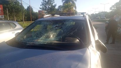 Santa Fe: fuerte choque entre un auto y un caballo en la Ruta Provincial 1